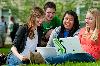 Lorem ipsum dolor sit amet consectetur